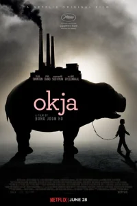 0kchcojk