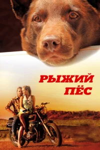 rrlӹdzhuil1 neс