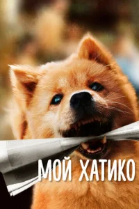 m1m0il1 khcojkтuk0
