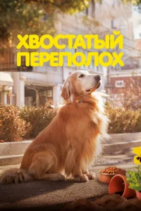 khc10100стojkтӹil1 nerhen0vnl0x