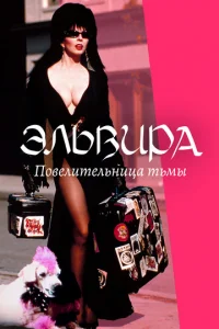 Эvnlb1010urhojk: Ո01010evnluтevnlbkvjuttsojk тbʍӹ