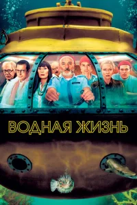 B0ldokvjojkᴙ dzhuʒkvjb