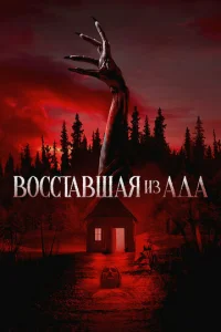 B0сстojk1010ɯojkᴙ uʒ ojkldoojk
