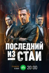Ո0сvnleldokvjuil1 uʒ стojku